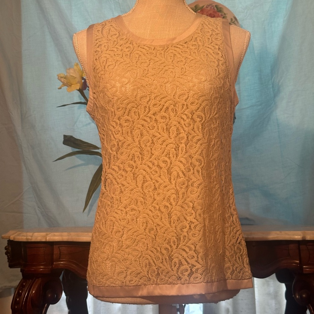The Limited Lace Tank Top - Cream